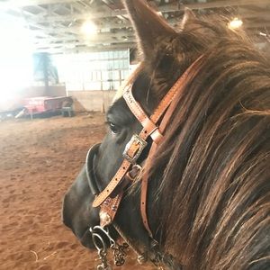 Meet your Posher, Clare